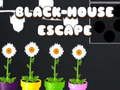 Black House Escape เกมออนไลน์