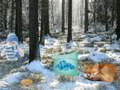 การผจญภัยในป่า Winterland Forest เกมออนไลน์