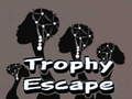 ถ้วยรางวัล  เกมออนไลน์