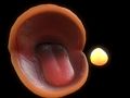 Pac-Man เกมออนไลน์
