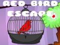 นกแดงหลบหนี เกมออนไลน์