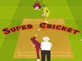 ซูเปอร์คริกเก็ต เกมออนไลน์ ซูเปอร์คริกเก็ต เกมออนไลน์