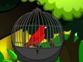 ช่วยชีวิตนกในกรง  เกมออนไลน์