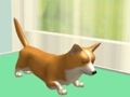 ดูแลสัตว์เลี้ยง  เกมออนไลน์