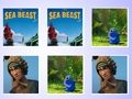 การจับคู่การ์ดหน่วยความจำสัตว์ทะเล  เกมออนไลน์
