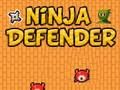 นินจาผู้พิทักษ์  เกมออนไลน์