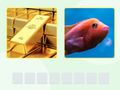 คำพูด เกมออนไลน์