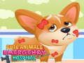 โรงพยาบาลฉุกเฉินสัตว์น่ารัก  เกมออนไลน์