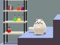 แมวคู่ของชโรดิงเงอร์  เกมออนไลน์