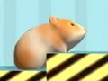 หนูแฮมสเตอร์ เพื่อยืนยัน  เกมออนไลน์