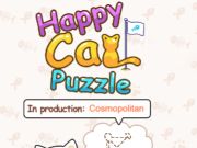 ปริศนาแสนสนุกกับแมว  เกมออนไลน์