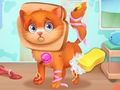 หมอสัตว์เลี้ยงน่ารักดูแล  เกมออนไลน์