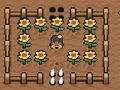 ชาร์ลอตต์แวลลีย์  เกมออนไลน์
