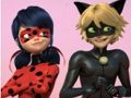 ปริศนาจิ๊กซอว์ Ladybug & Cat Noir มหัศจรรย์  เกมออนไลน์