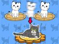 คอนโดแมว  เกมออนไลน์