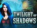 สนธยาแห่งเงา  เกมออนไลน์
