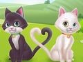 จุดและความแตกต่าง  เกมออนไลน์