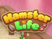 ปริศนาชีวิตของหนูแฮมสเตอร์  เกมออนไลน์