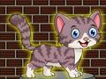 หนีแมวตัวเล็กที่น่ารัก  เกมออนไลน์