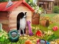 คนรักสัตว์  เกมออนไลน์