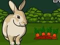 ช่วยชีวิตกระต่ายสีเทา  เกมออนไลน์