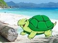 หนีคู่ปูชายหาด  เกมออนไลน์