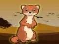 หนีพังพอนที่น่ารัก  เกมออนไลน์