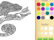 สมุดระบายสีสัตว์สำหรับผู้ใหญ่สำหรับเด็ก เกมออนไลน์