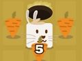 ปริศนากระต่ายกระโดด  เกมออนไลน์
