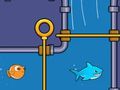 บันทึกปลา  เกมออนไลน์