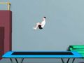 แทรมโพลีนพลิก  เกมออนไลน์