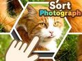 จัดเรียงรูปถ่าย เกมออนไลน์
