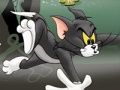 ทอมกับเจอร์รี่เชสในมาร์ช  เกมออนไลน์