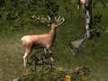 Sniper ล่าสัตว์ร้ายแรง  เกมออนไลน์