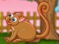 การหลบหนีทาร์เซียร์ที่น่ารัก  เกมออนไลน์