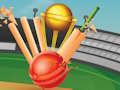 คริกเก็ต T20  เกมออนไลน์