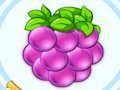 นักกีฬาผลไม้  เกมออนไลน์