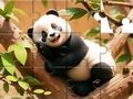 ปริศนาจิ๊กซอว์: แพนด้าบนต้นไม้  เกมออนไลน์