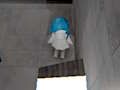 9 แคม  เกมออนไลน์