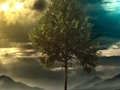 หนีภาพลวงตาป่านางฟ้า  เกมออนไลน์
