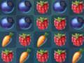 แฟนตาซีฟอเรสต์ 2  เกมออนไลน์