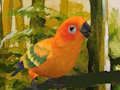 ปริศนา Budgie น่ารัก  เกมออนไลน์