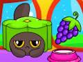 คอสโม เพ็ท สตาร์รี่ แคร์  เกมออนไลน์