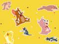 การแสดง Tom and Jerry พบมัน!  เกมออนไลน์