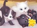 ปริศนาจิ๊กซอว์: การเล่นแมว  เกมออนไลน์