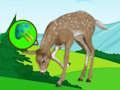 หลบหนีทุ่งหญ้ากวาง  เกมออนไลน์