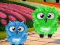 เงาและ Hoots: หลบหนี  เกมออนไลน์