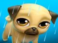 สัตว์เลี้ยงเสมือนของฉัน Louie the Pug  เกมออนไลน์