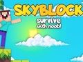 Skyblock เอาชีวิตรอดด้วย Noob!  เกมออนไลน์
