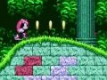 Mighty & Ray ในโซนิค 2 เกมออนไลน์ Mighty & Ray ในโซนิค 2 เกมออนไลน์